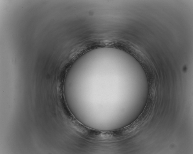 X0000091520270200708171016