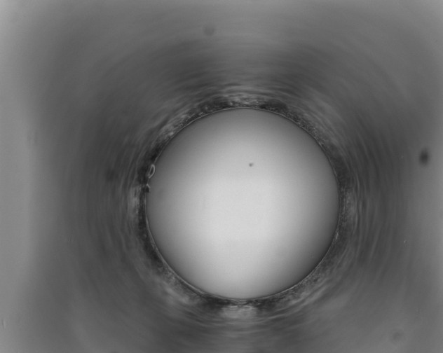 X0000091520271200708171016