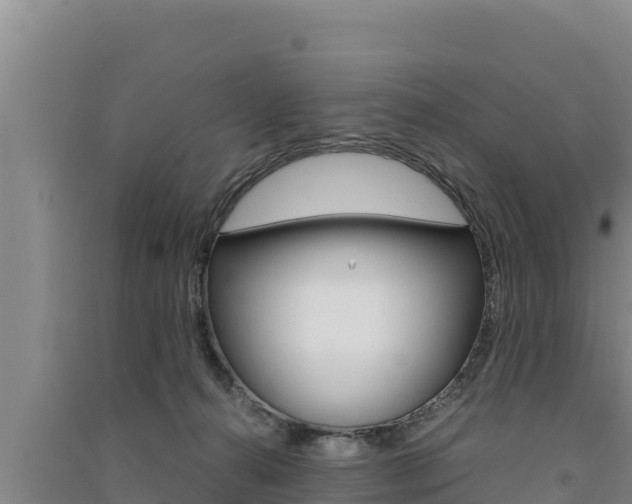 X0000091520272200708171016