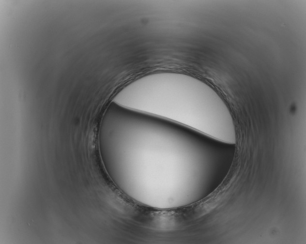 X0000091520273200708171016