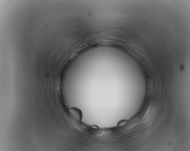 X0000091520274200708171016