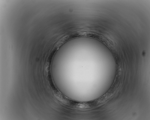X0000091520275200708171016