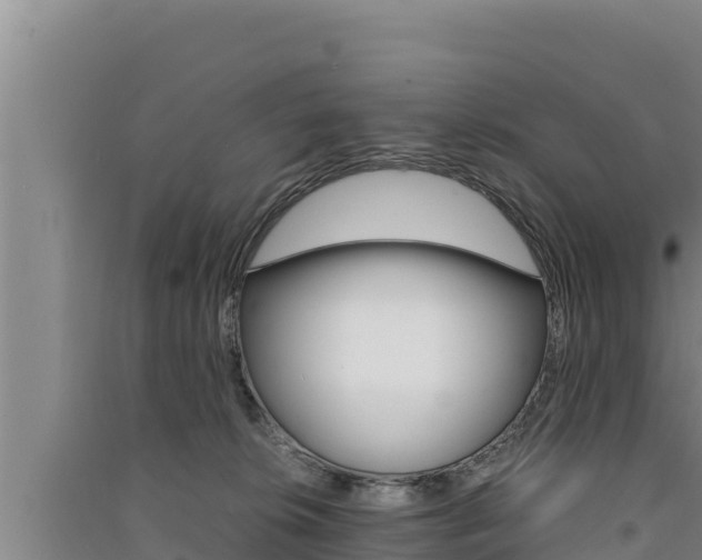 X0000091520276200708171016