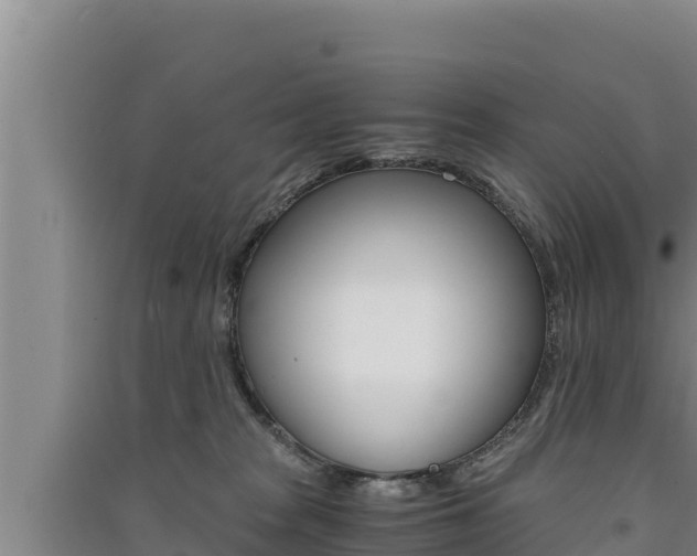 X0000091520277200708171016