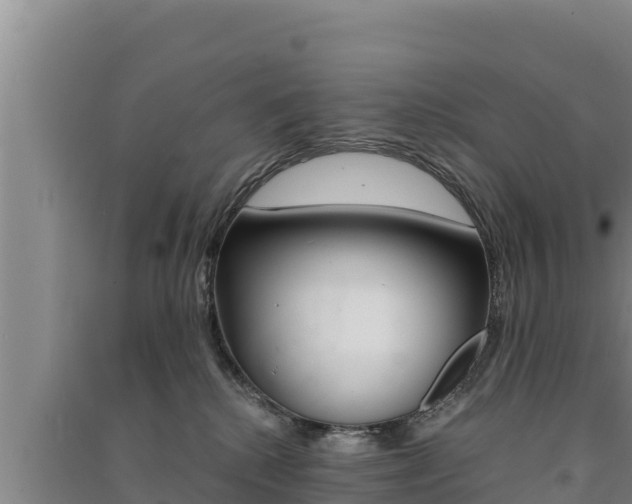 X0000091520280200708171016