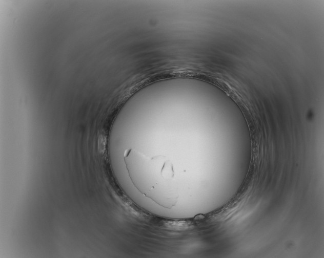 X0000091520281200708171016