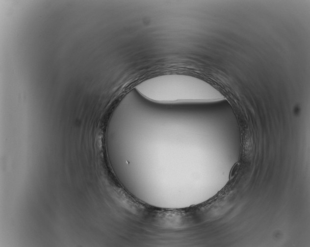 X0000091520282200708171016