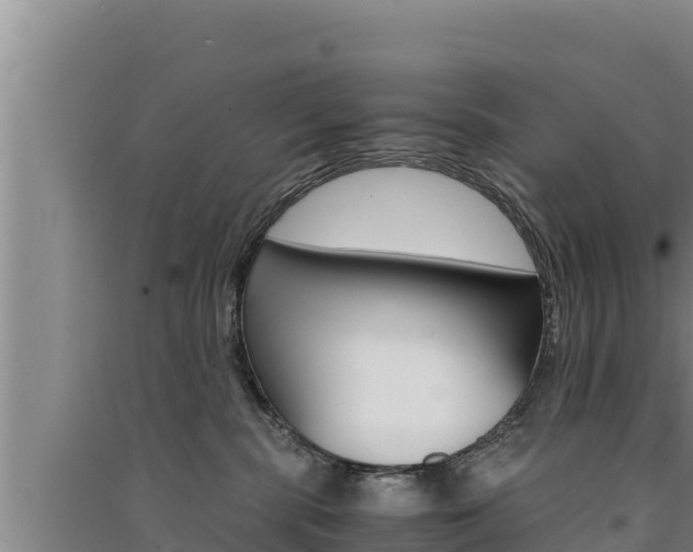 X0000091520283200708171016