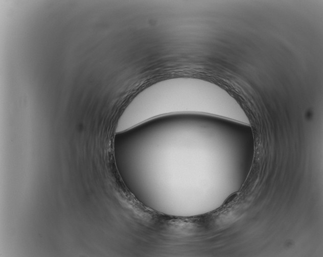 X0000091520284200708171016