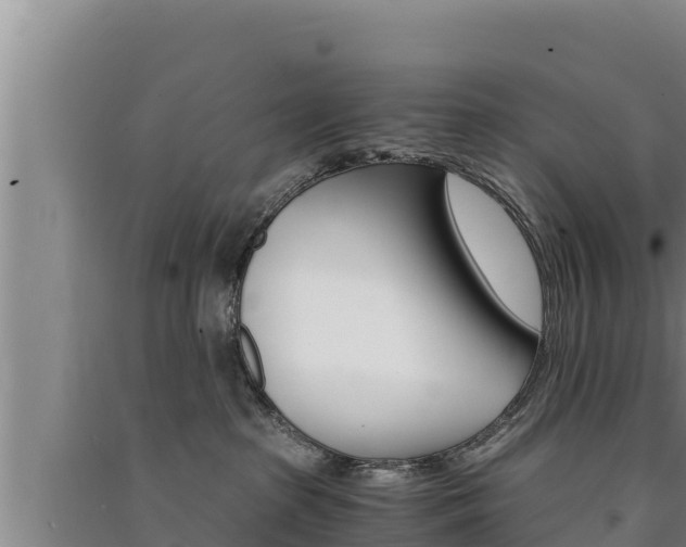 X0000091520285200708171016