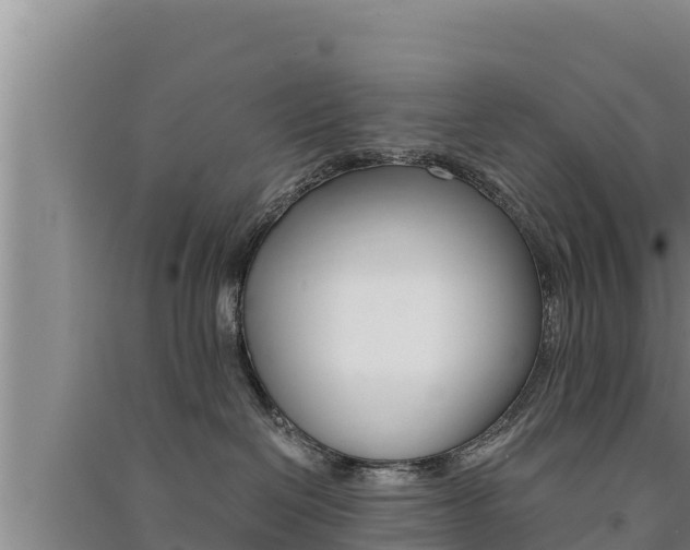 X0000091520286200708171016