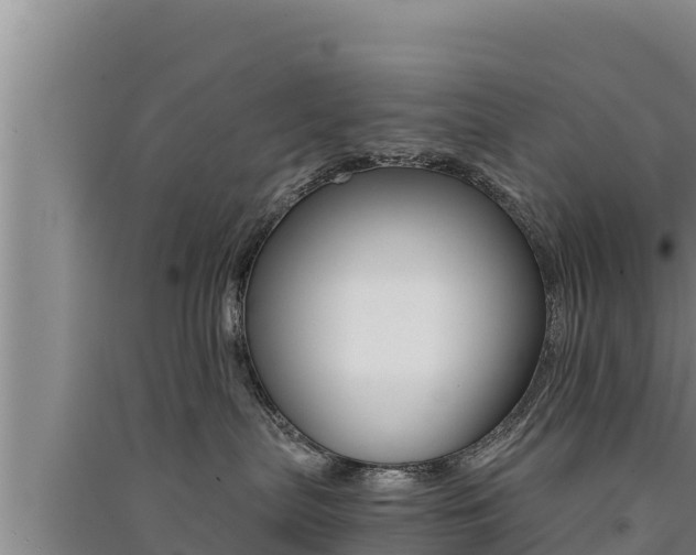 X0000091520287200708171016