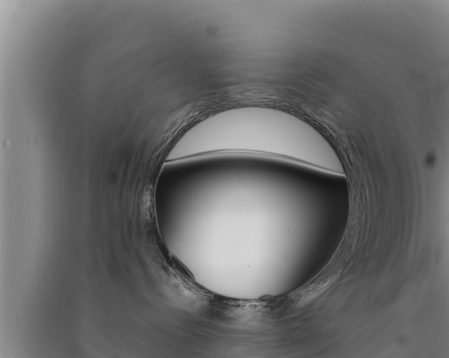 X0000091520288200708171016