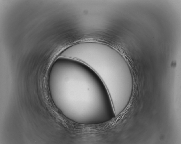 X0000091520289200708171016