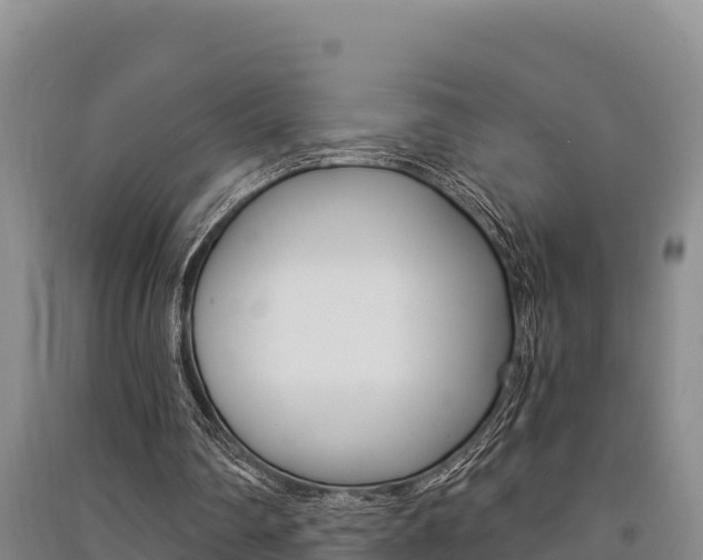 X0000091520290200708171016