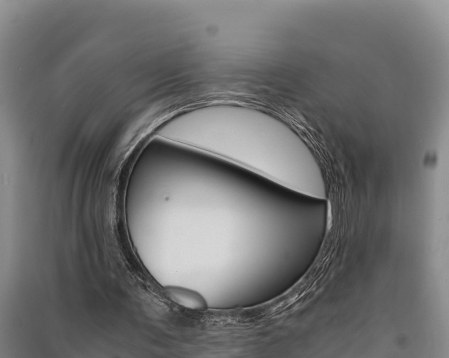X0000091520291200708171016