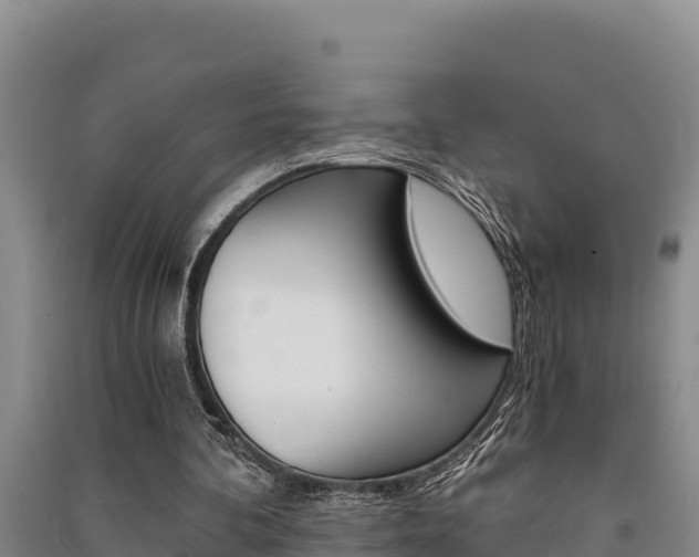 X0000091520292200708171016