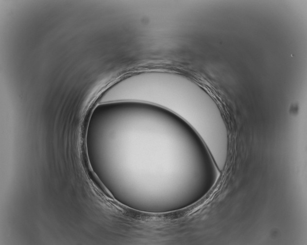 X0000091520293200708171016