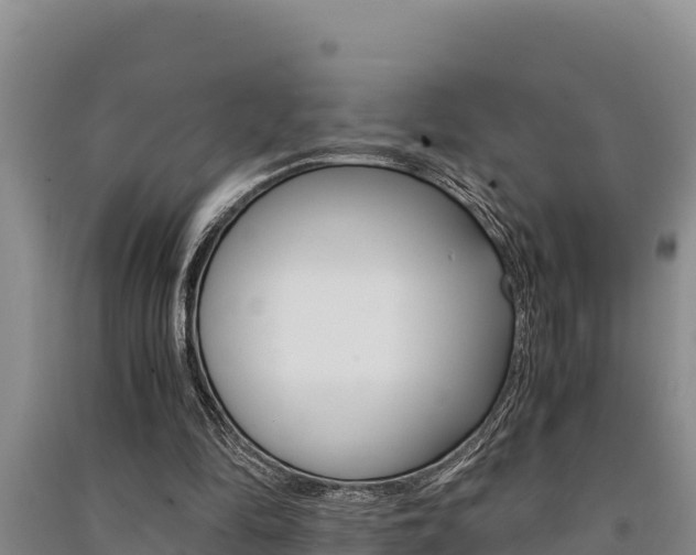 X0000091520294200708171016