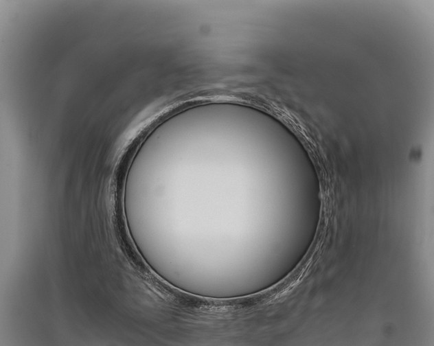 X0000091520295200708171016