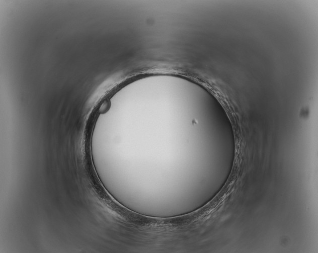 X0000091520296200708171016