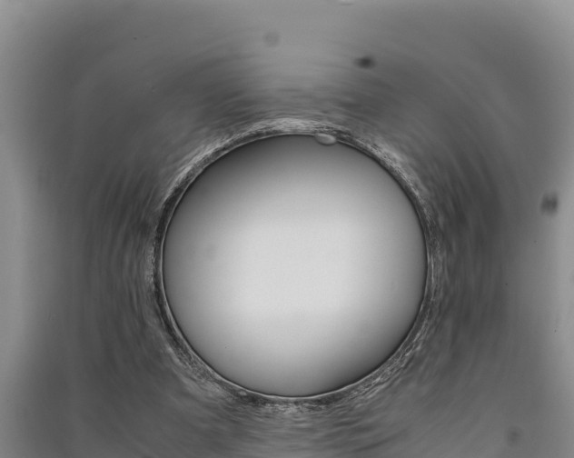 X0000091520297200708171016