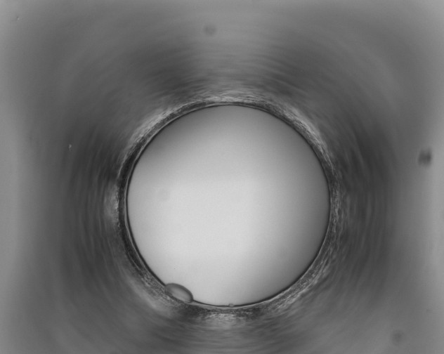 X0000091520298200708171016
