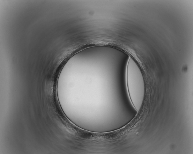 X0000091520299200708171015