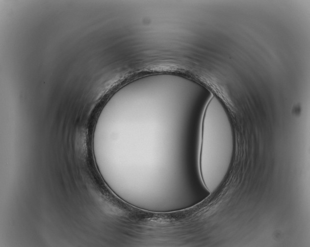 X0000091520300200708171015