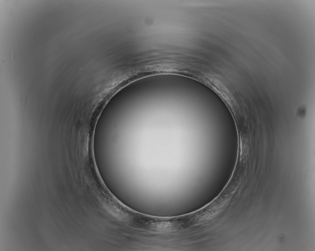 X0000091520301200708171015