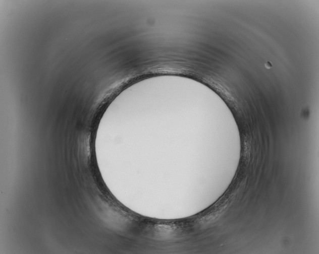 X0000091520302200708171015
