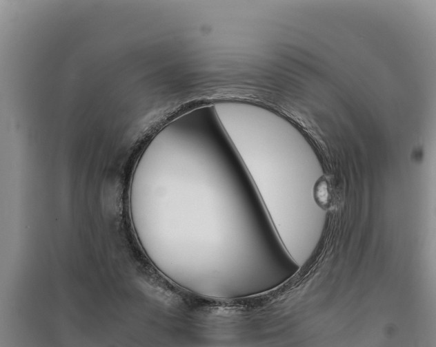 X0000091520303200708171015