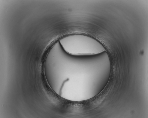 X0000091520304200708171015
