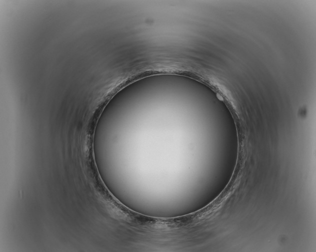 X0000091520305200708171015