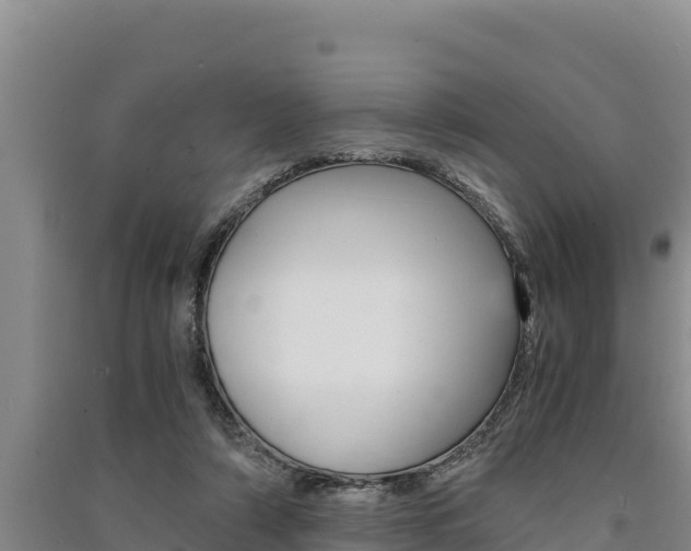 X0000091520306200708171015