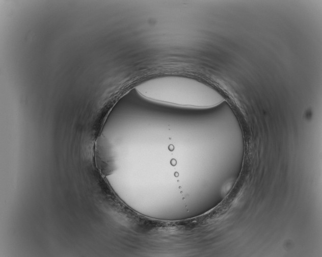 X0000091520307200708171015