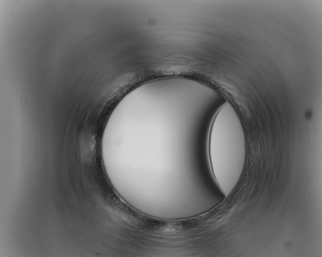 X0000091520308200708171015
