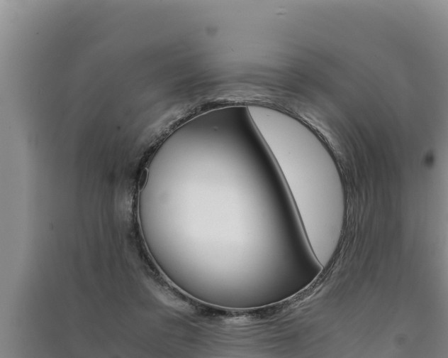 X0000091520309200708171015
