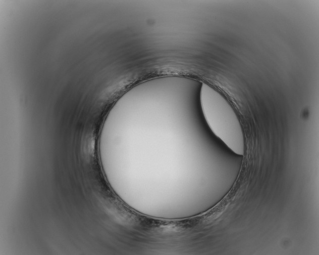 X0000091520310200708171015