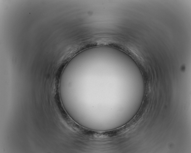 X0000091520311200708171015