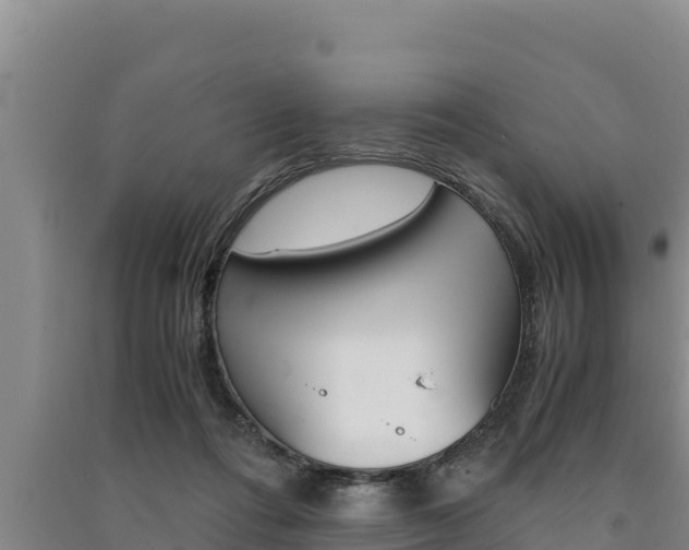 X0000091520312200708171015