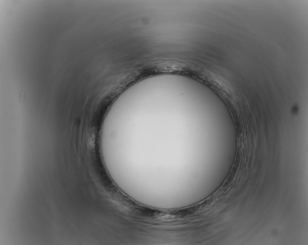 X0000091520315200708171015