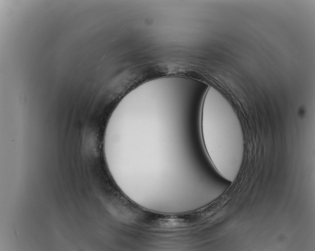 X0000091520316200708171015