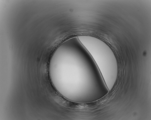 X0000091520317200708171015