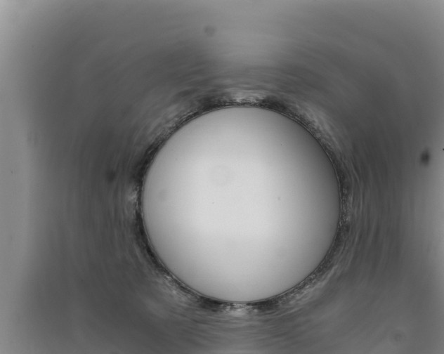 X0000091520321200708171015
