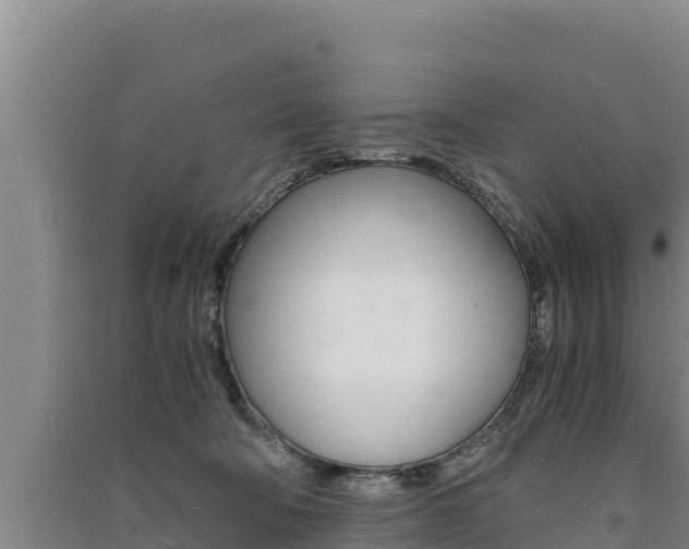 X0000091520322200708171015