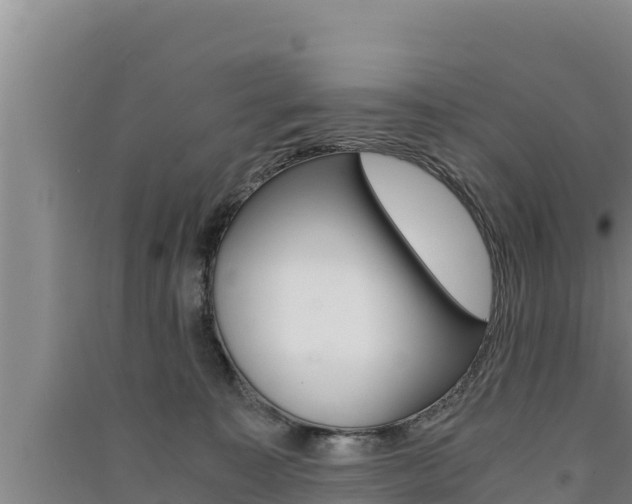 X0000091520323200708171015