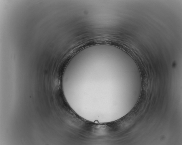 X0000091520324200708171015