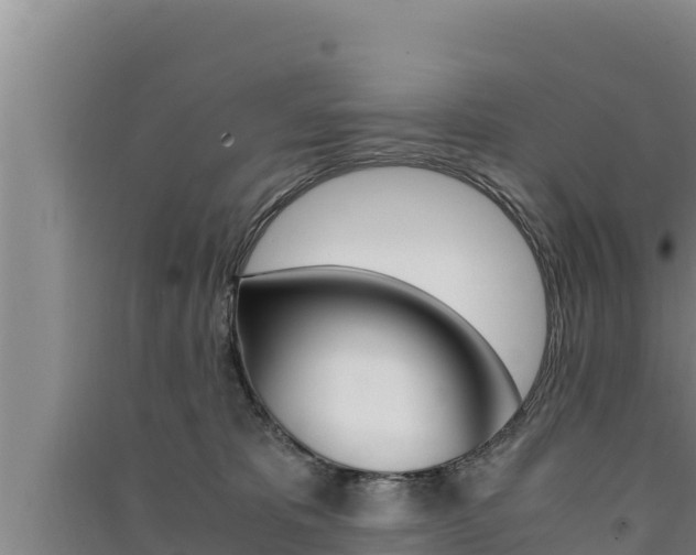 X0000091520325200708171015