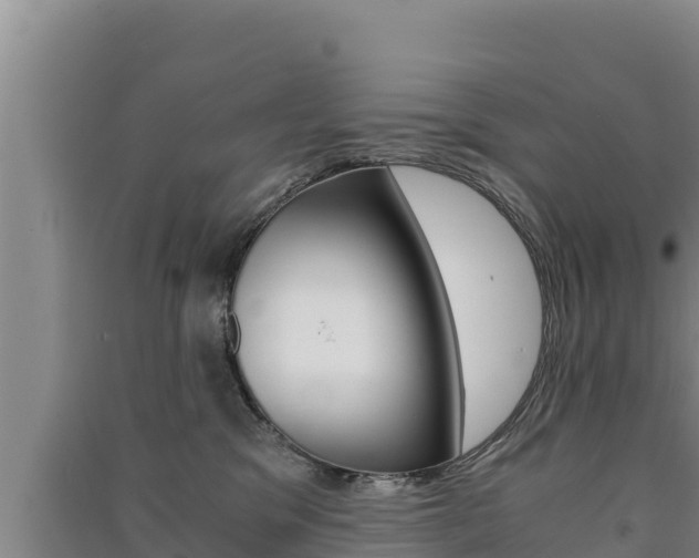 X0000091520329200708171015
